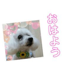 [LINEスタンプ] まあく君
