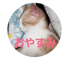 [LINEスタンプ] ひこ＆くー 4