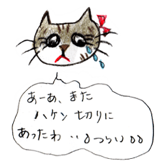[LINEスタンプ] 気の毒なメス猫(キジシロ)のスタンプ