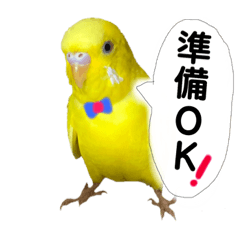 [LINEスタンプ] るち withふぁみりー