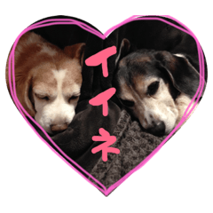 [LINEスタンプ] るいとうめこの日常