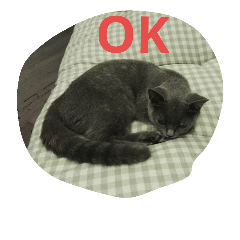 [LINEスタンプ] 飼い猫「くう」のスタンプ