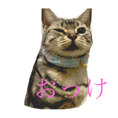 [LINEスタンプ] ひめとくぅのスタンプ