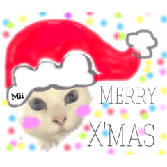 [LINEスタンプ] ミーニャんスタンプ