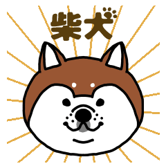 [LINEスタンプ] 柴犬の顔で語るスタンプの画像（メイン）