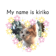 [LINEスタンプ] ブサイクで可愛い猫のスタンプ