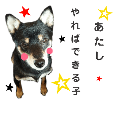 [LINEスタンプ] もかぷぅ一家 2