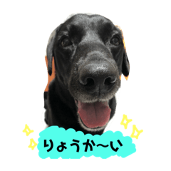 [LINEスタンプ] インディー♡part4
