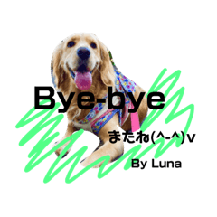 [LINEスタンプ] Lunaっちだよ〜。4