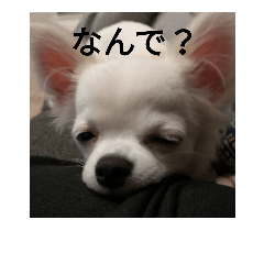 [LINEスタンプ] くぅ～パート2