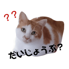 [LINEスタンプ] うちのゆかいな仲間たち