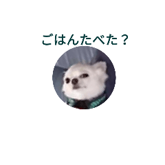 [LINEスタンプ] ミルクと挨拶幸せ
