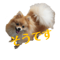 [LINEスタンプ] なかよしまりがろ3