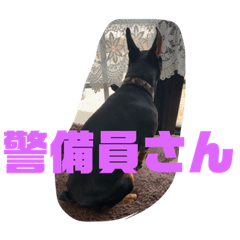 [LINEスタンプ] ヴィト子とカイ