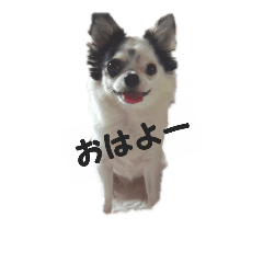 [LINEスタンプ] nanachanスタンプ