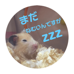 [LINEスタンプ] ほのぼのはむさん②
