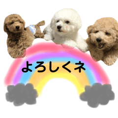 [LINEスタンプ] 太郎とあぷろーとまさおのいる愉快な毎日