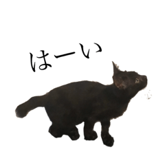 [LINEスタンプ] ジジさんスタンプ