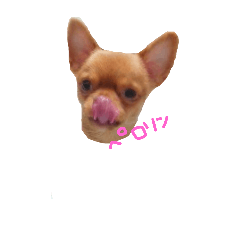 [LINEスタンプ] チワワS