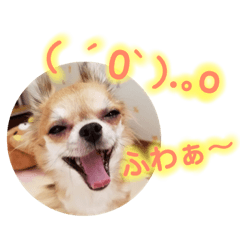 [LINEスタンプ] チワワと顔文字