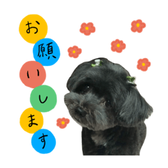 [LINEスタンプ] わんこティちゃん
