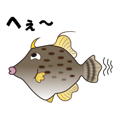 [LINEスタンプ] 個性的で可愛いカワハギちゃんのスタンプ