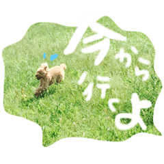 [LINEスタンプ] といぷのここちゃん