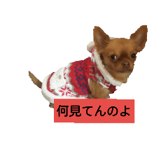 [LINEスタンプ] Kuuちゃんのスタンプ