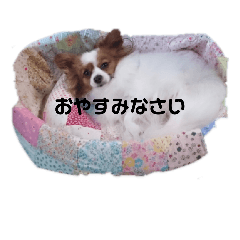 [LINEスタンプ] ぱぴよんさん