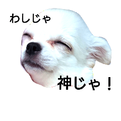 [LINEスタンプ] かぐら 1