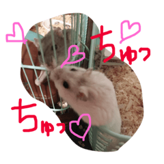 [LINEスタンプ] ハムスターの気持ち(リックハム)