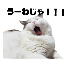 [LINEスタンプ] ぶひぶひ赤ちゃんズ