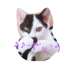 [LINEスタンプ] コタローの日常③