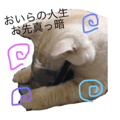 [LINEスタンプ] かるびくんの日常