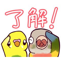 [LINEスタンプ] インコさんスタンプ（ウロコ＆セキセイ）