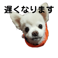 [LINEスタンプ] よんよん仲間たち