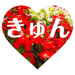 [LINEスタンプ] 開運♡お花のスタンプ