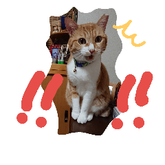 [LINEスタンプ] ころまる2(猫)