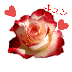 [LINEスタンプ] 花の気持ち。