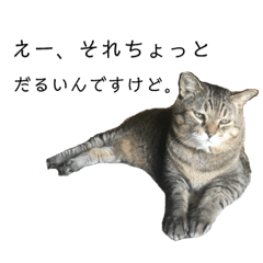 [LINEスタンプ] 佐々木家の猫たち＆るっちゃん