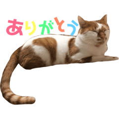 [LINEスタンプ] みんくとみかん2