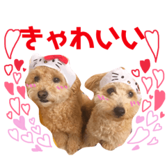 [LINEスタンプ] まろん♡ころん