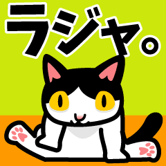 [LINEスタンプ] 動くハチワレ猫のチロちゃん