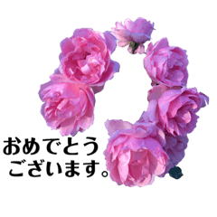 [LINEスタンプ] yasuおばさんの薔薇の挨拶の画像（メイン）
