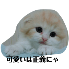 [LINEスタンプ] 愛しのスコちゃん2