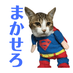 [LINEスタンプ] ココと仲間たち⑤