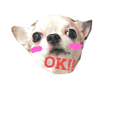 [LINEスタンプ] チワスタンプ