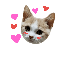 [LINEスタンプ] ひこ＆くー 5
