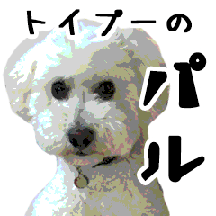 [LINEスタンプ] トイプーのパル