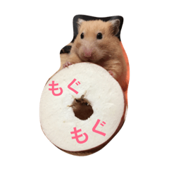 [LINEスタンプ] ほのぼのはむさん1
